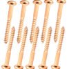 Brass Wood Screws Round Raised Head Sloted Screw (Pack of 10) (M5, 20mm)
