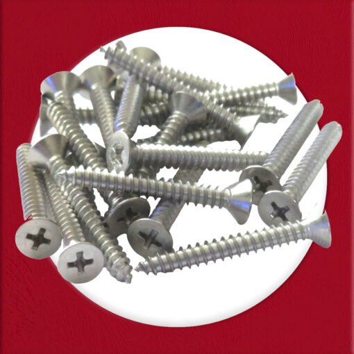 Self-tapping-screws, Multi-Purpose Screws, 316 Marine Grade Stainless Steel, Phillips Flathead Screws for Wood, Drywall and Furniture (Pack of 20) - Image 2